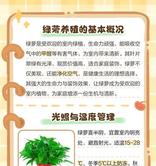 绿萝分株与水的换取（分株多久换水有讲究）