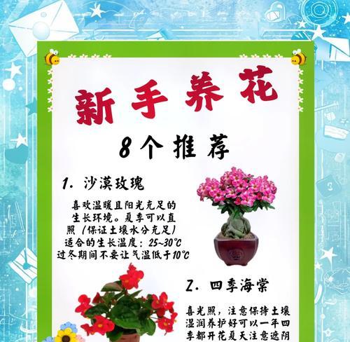夏日户外植物的养护秘籍（打造炎热夏天的绿色避难所）