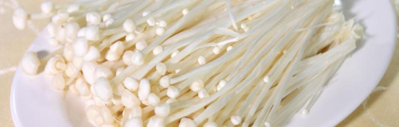 金针菇的生物特性解析（金针菇是真菌还是植物？——探讨金针菇的分类归属和生长习性）