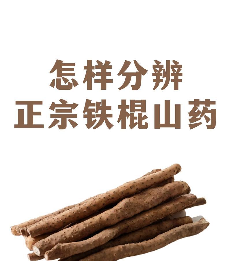 山药品种及其特点（了解不同山药品种的优缺点，选择最适合自己的健康食材）
