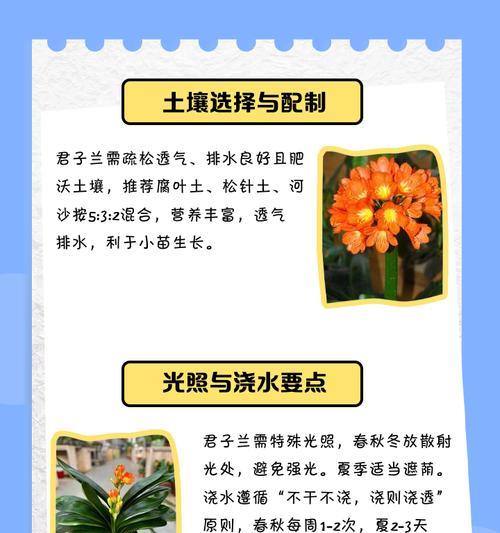君子兰幼苗的移除技巧（打造优美花园的必备技能）
