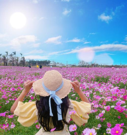 探秘格桑花的花期（格桑花花期多久？如何欣赏最美的格桑花？）