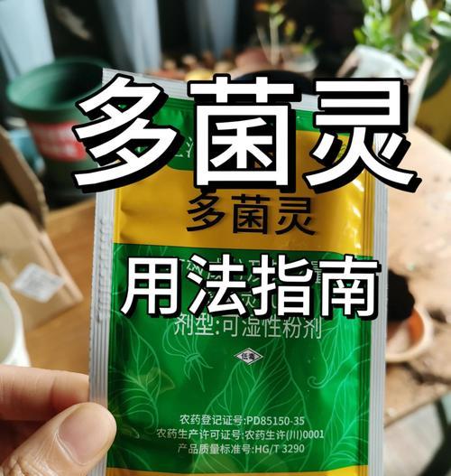 以多菌灵打造多肉叶子之奇迹（绿叶更翠，多肉更美，多菌灵的魔力无穷）