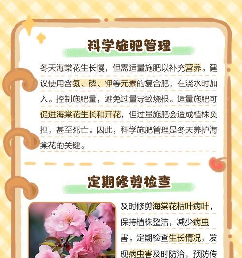 海棠花的最佳施肥方法（让海棠花绽放绚丽花海，一起了解最佳施肥方法）