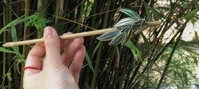 竹子怎么做花土,竹子如何转化为优质花土的奥秘